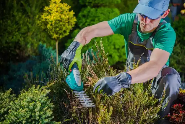 landscaping services Hillcrest